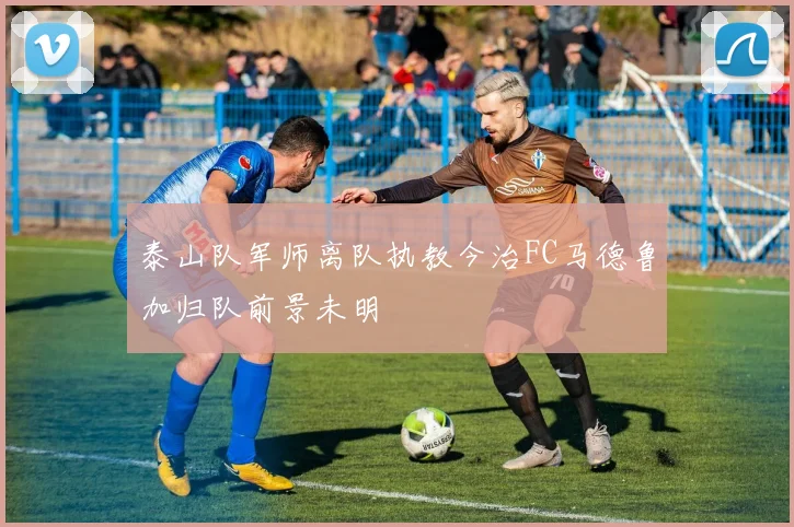 泰山队军师离队执教今治FC马德鲁加归队前景未明